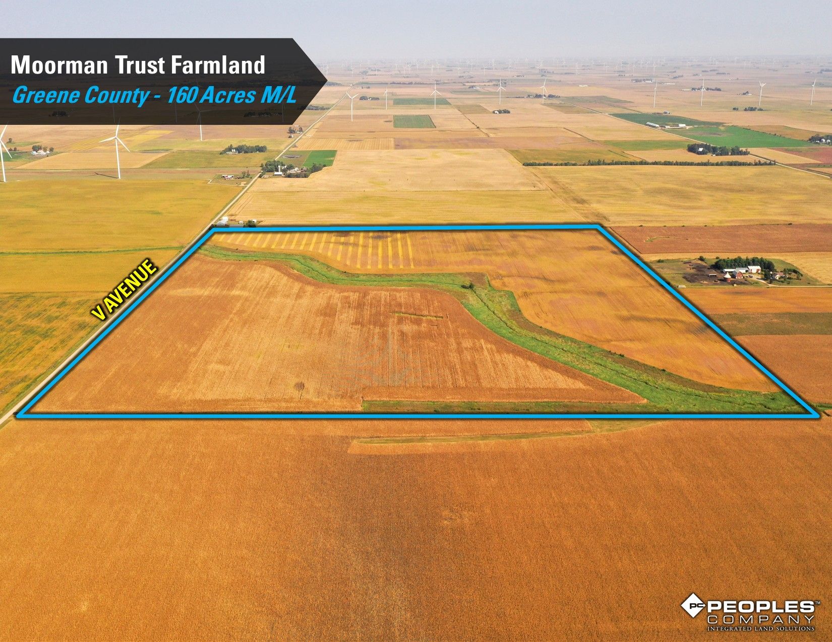 Listing Photo: Greene-County-Iowa-Farmland-Auction-160-Acres-Moorman-Rippey-IA-18618 (5)